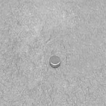 Neodymium Disc Magnets